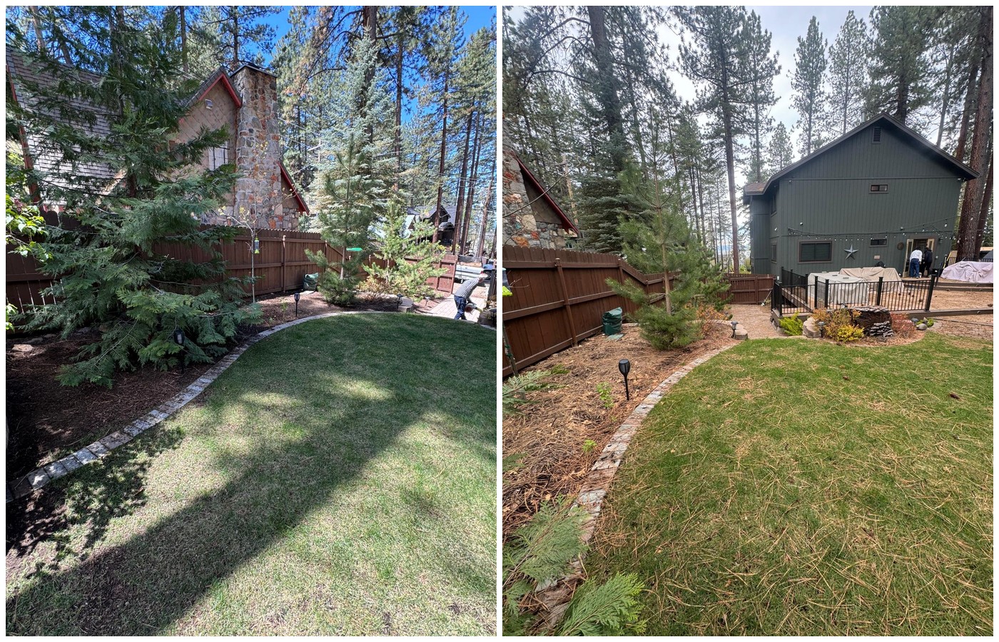 Before and after of a Tahoe backyard cleanup with fresh lawn and cobble edging